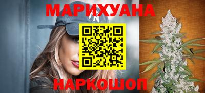 МДПВ Новозыбков