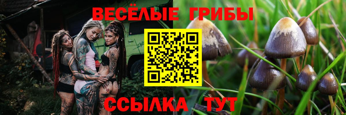 Галлюциногенные грибы мицелий Советский